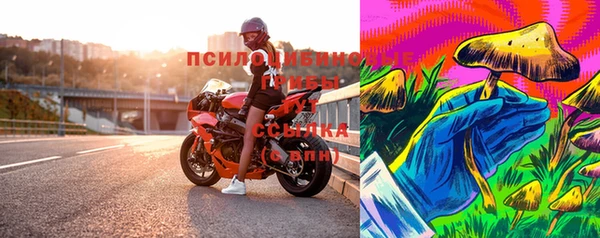 бошки Верхний Тагил