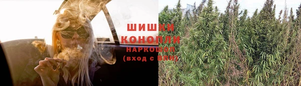 бошки Верхний Тагил