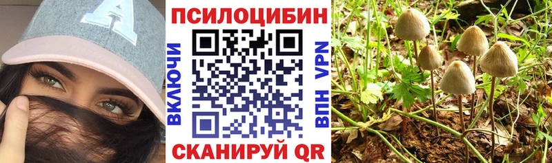 маркетплейс Telegram  Дмитриев  Галлюциногенные грибы прущие грибы 