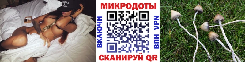 Галлюциногенные грибы MAGIC MUSHROOMS Дмитриев